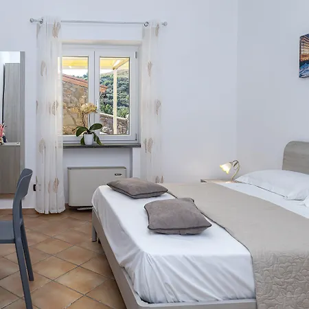 Villa - Lions Rose